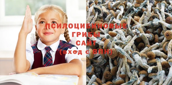 кокс Алексеевка