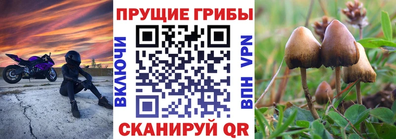 Галлюциногенные грибы прущие грибы  Мантурово 
